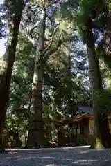 高千穂神社の建物その他