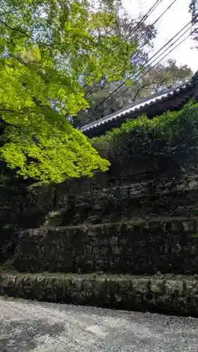 園城寺（三井寺）(滋賀県)
