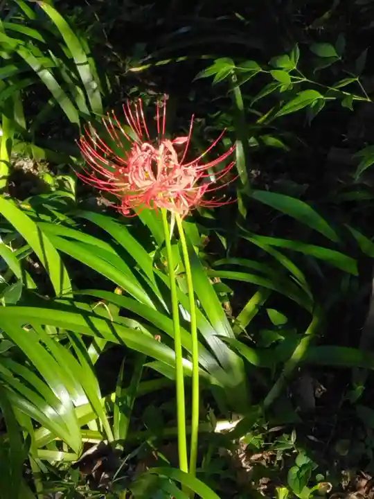 天台宗 長窪山 正覚寺(神奈川県)