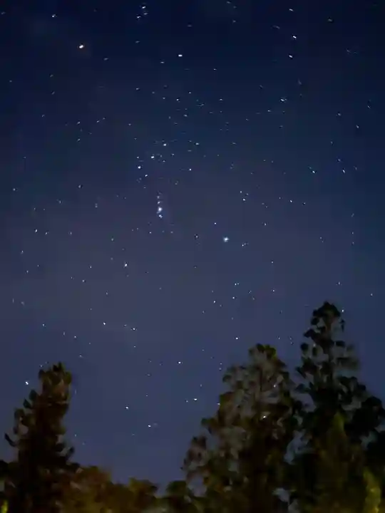 高野山金剛峯寺奥の院(和歌山県)