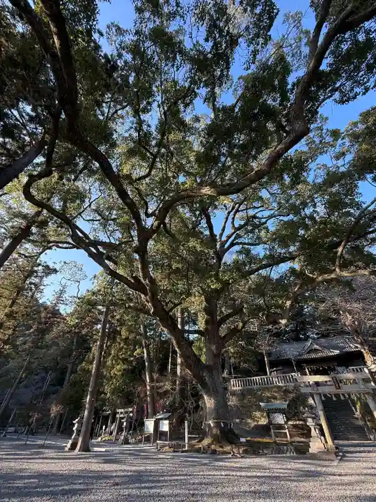 事任八幡宮(静岡県)