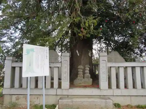 定林寺の建物その他