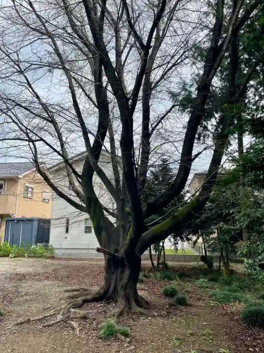 関間神明神社(埼玉県)