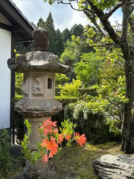 大池寺の{uncategorized: "未分類", other: "その他", undefined: "問題あり", building: "その他建物", grave: "お墓", sacred_gate: "鳥居", guardian: "狛犬", statue: "像", buddha: "仏像", history: "歴史", nature: "自然", garden: "庭園", animal: "動物", pagoda: "塔", temizu: "手水舎", mountain_gate: "山門・神門", sanctuary: "本殿・本堂", subordinate: "末社・摂社", art: "芸術", scenery: "景色", jizo: "地蔵", ema: "絵馬", goshuin: "御朱印", omikuji: "おみくじ", items: "授与品その他", amulet: "お守り", goshuincho: "御朱印帳", eats: "食事", festival: "お祭り", votive_dance: "神楽", shichigosan: "七五三参", wedding: "結婚式", experience: "体験その他", initially: "初詣", around: "周辺", anti_infection: "感染症対策"}
