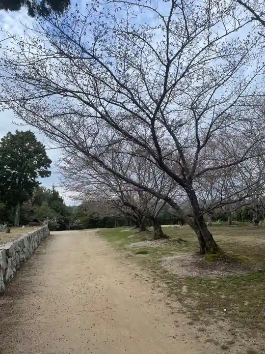 貴船神社の自然
