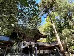 矢彦神社の本殿