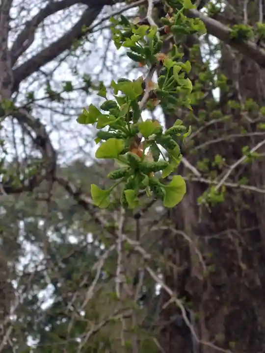 今宮神社(栃木県)