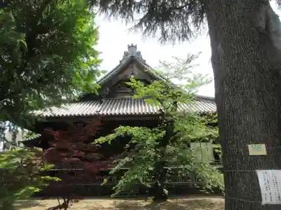 寛永寺(根本中堂)(東京都)