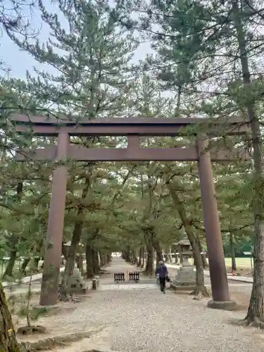 出雲大社(島根県)