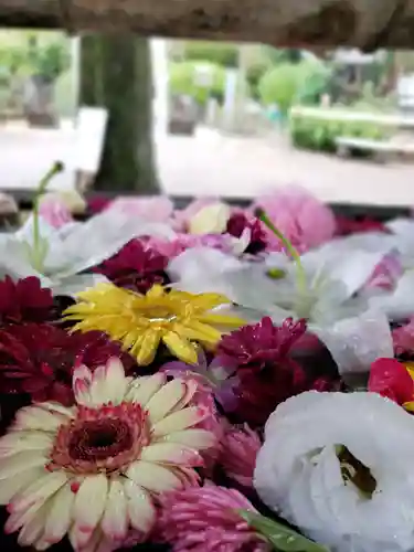鳩森八幡神社の手水舎