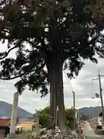 高野神社(滋賀県)