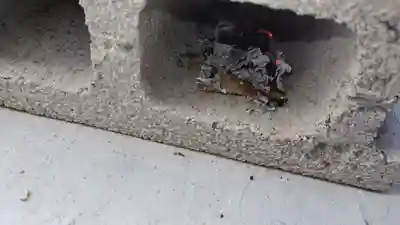 法雲寺(京都府)