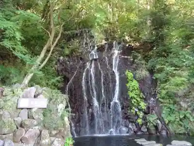 玉簾神社の自然