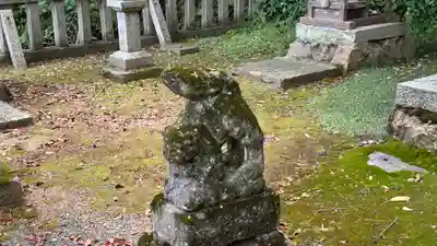 今富神社(福井県)