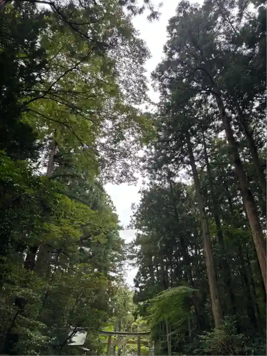 彌彦神社(新潟県)