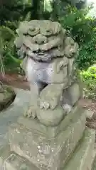 熊野神社の狛犬