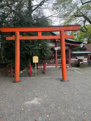 津島神社の鳥居