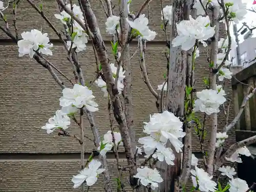 小野照崎神社の自然