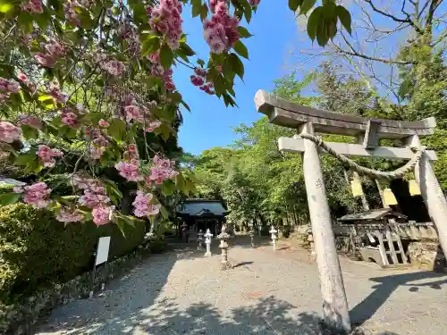 三輪神社(兵庫県)