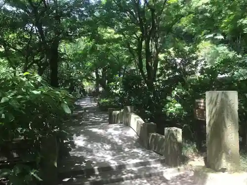 明月院(神奈川県)