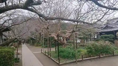 極楽寺（霊鷲山感應院極楽律寺）の庭園