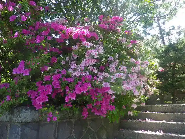 安國論寺(安国論寺)の自然