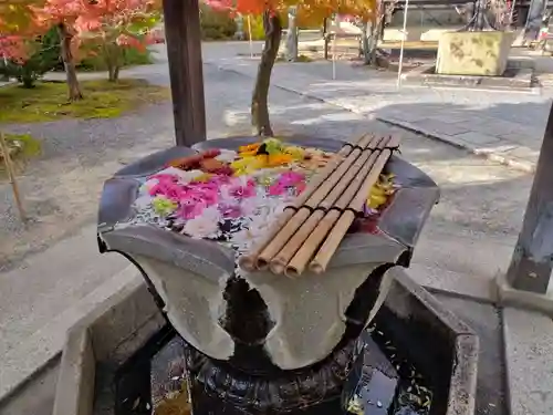 光明寺（粟生光明寺）(京都府)