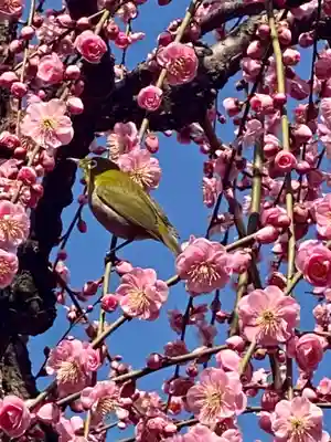 城南宮(京都府)