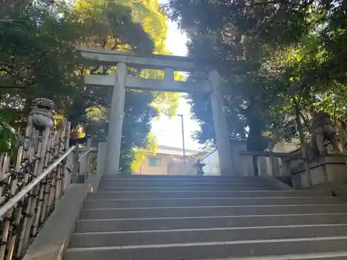 渋谷氷川神社の鳥居