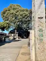 西福寺(千葉県)