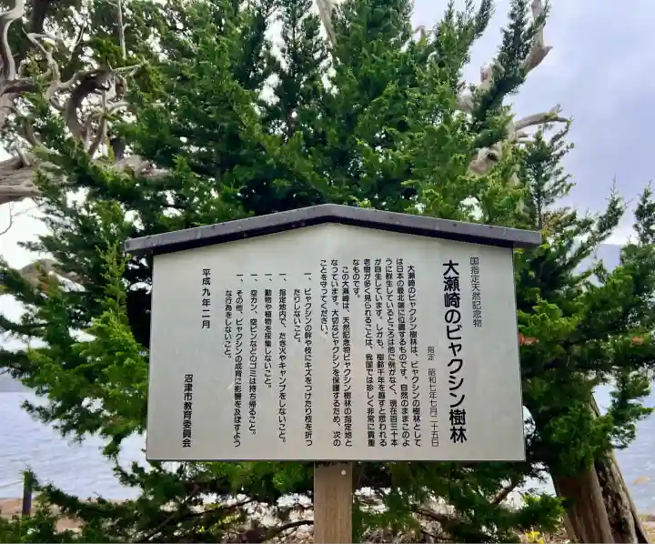 大瀬神社(静岡県)