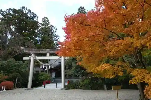 越中一宮 髙瀬神社の鳥居