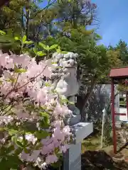 北見神社の狛犬