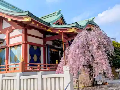 千住神社の{uncategorized: "未分類", other: "その他", undefined: "問題あり", building: "その他建物", grave: "お墓", sacred_gate: "鳥居", guardian: "狛犬", statue: "像", buddha: "仏像", history: "歴史", nature: "自然", garden: "庭園", animal: "動物", pagoda: "塔", temizu: "手水舎", mountain_gate: "山門・神門", sanctuary: "本殿・本堂", subordinate: "末社・摂社", art: "芸術", scenery: "景色", jizo: "地蔵", ema: "絵馬", goshuin: "御朱印", omikuji: "おみくじ", items: "授与品その他", amulet: "お守り", goshuincho: "御朱印帳", eats: "食事", festival: "お祭り", votive_dance: "神楽", shichigosan: "七五三参", wedding: "結婚式", experience: "体験その他", initially: "初詣", around: "周辺", anti_infection: "感染症対策"}
