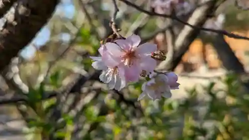 妙蓮寺(京都府)