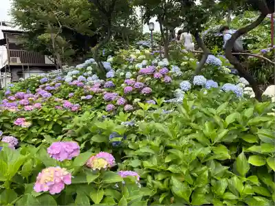 白山神社(東京都)