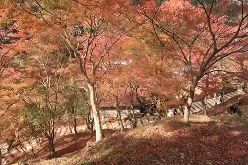 神護寺の景色