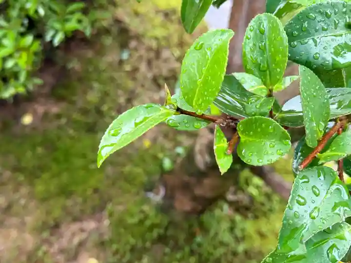 西方山極楽寺(岐阜県)