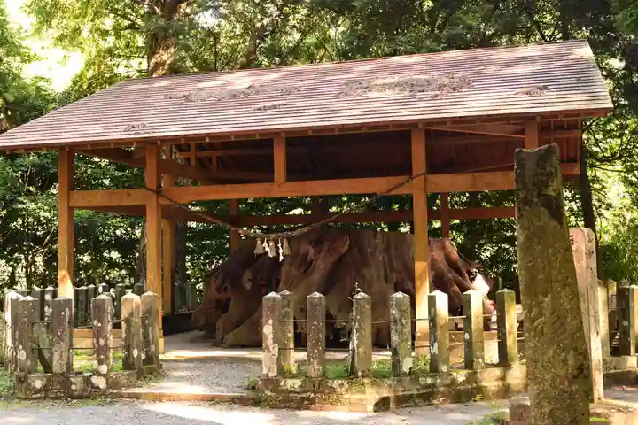 国造神社(熊本県)