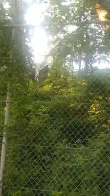 秋田県護國神社(秋田県)