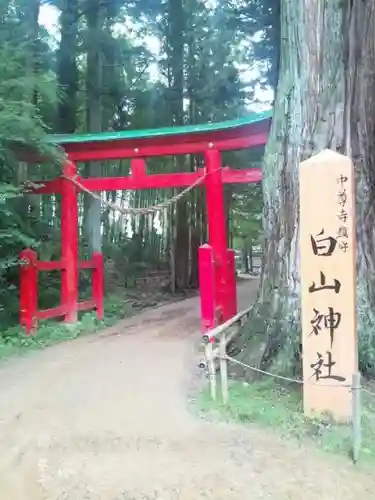 白山神社の鳥居