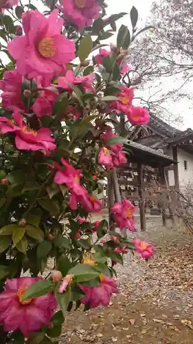 大手神社の自然