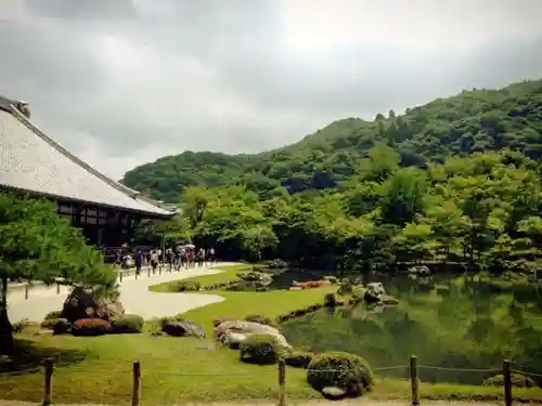 天龍寺の庭園