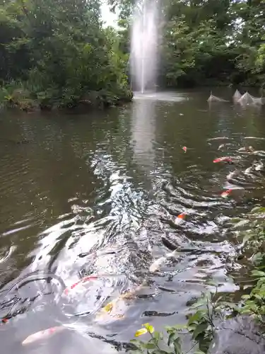氣比神宮(福井県)