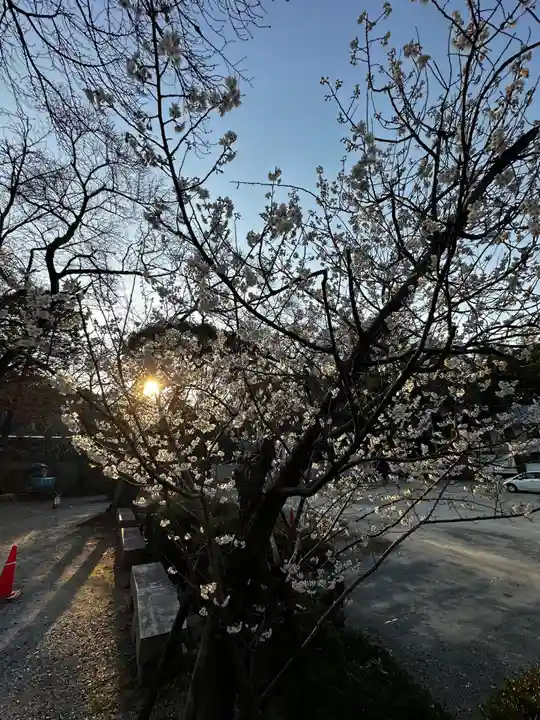 石清水八幡宮(京都府)
