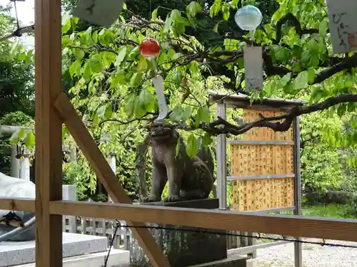 布多天神社の狛犬