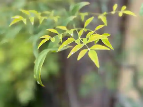 西方山極楽寺(岐阜県)