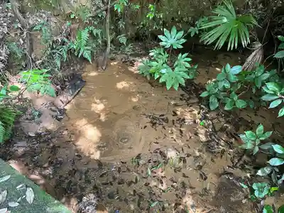 愛宕神社(茨城県)