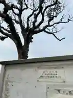 大木神社跡地(三重県)