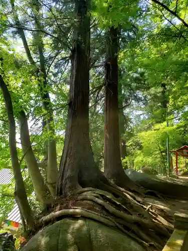 岩角山 岩角寺(福島県)